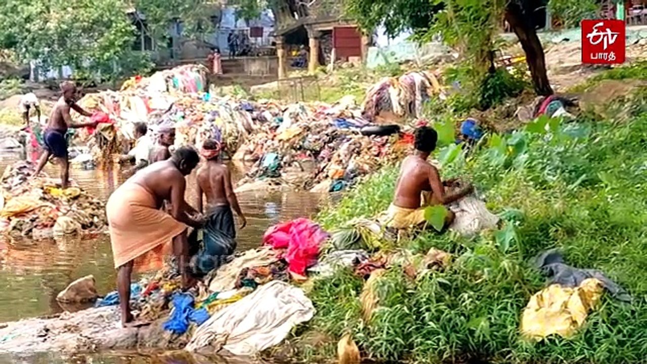 பரிகாரம் என்ற பெயரில் பாழாக்கப்படும் தாமிரபரணி - துணி கழிவுகளை போராடி அகற்றும் 'தனி ஒருவன்'