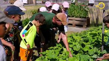 Sujet: à la découverte des légumes en ville