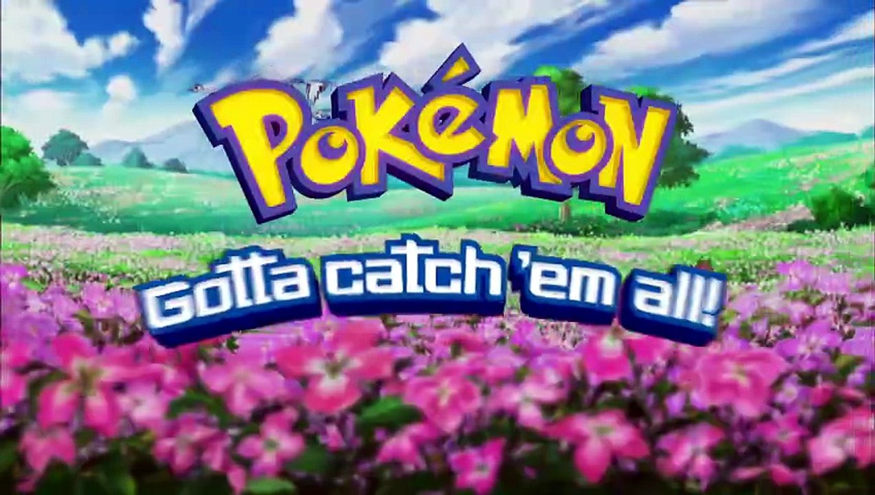 pokemon 25x17