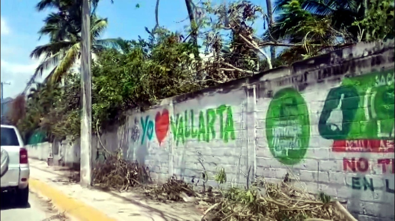 Vecinos denuncian abandono de ramas tras poda de la CFE | CPS Noticias Puerto Vallarta
