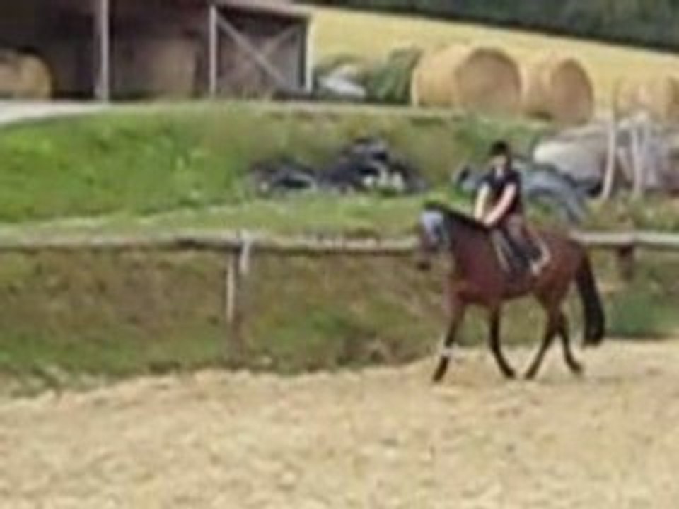 New et Viviane