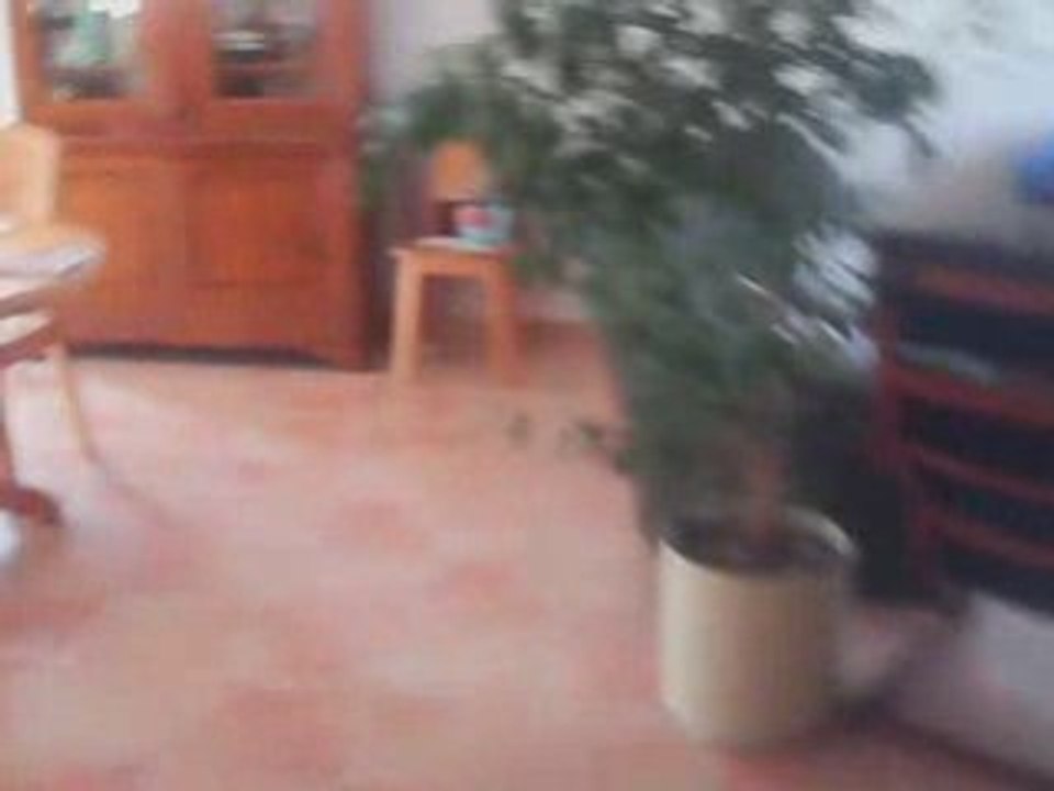 retrouvaille de mon ami