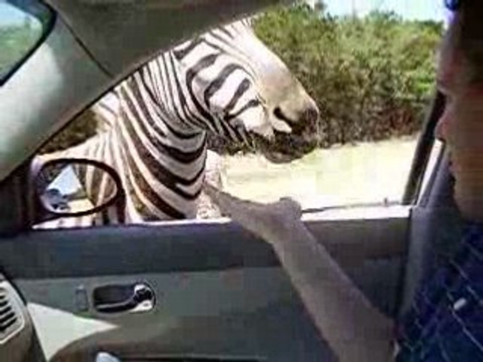 Wildlife Ranch, San Antonio, TX