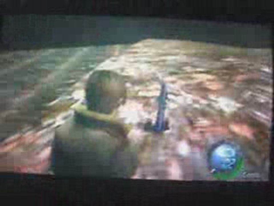 Bug RE4