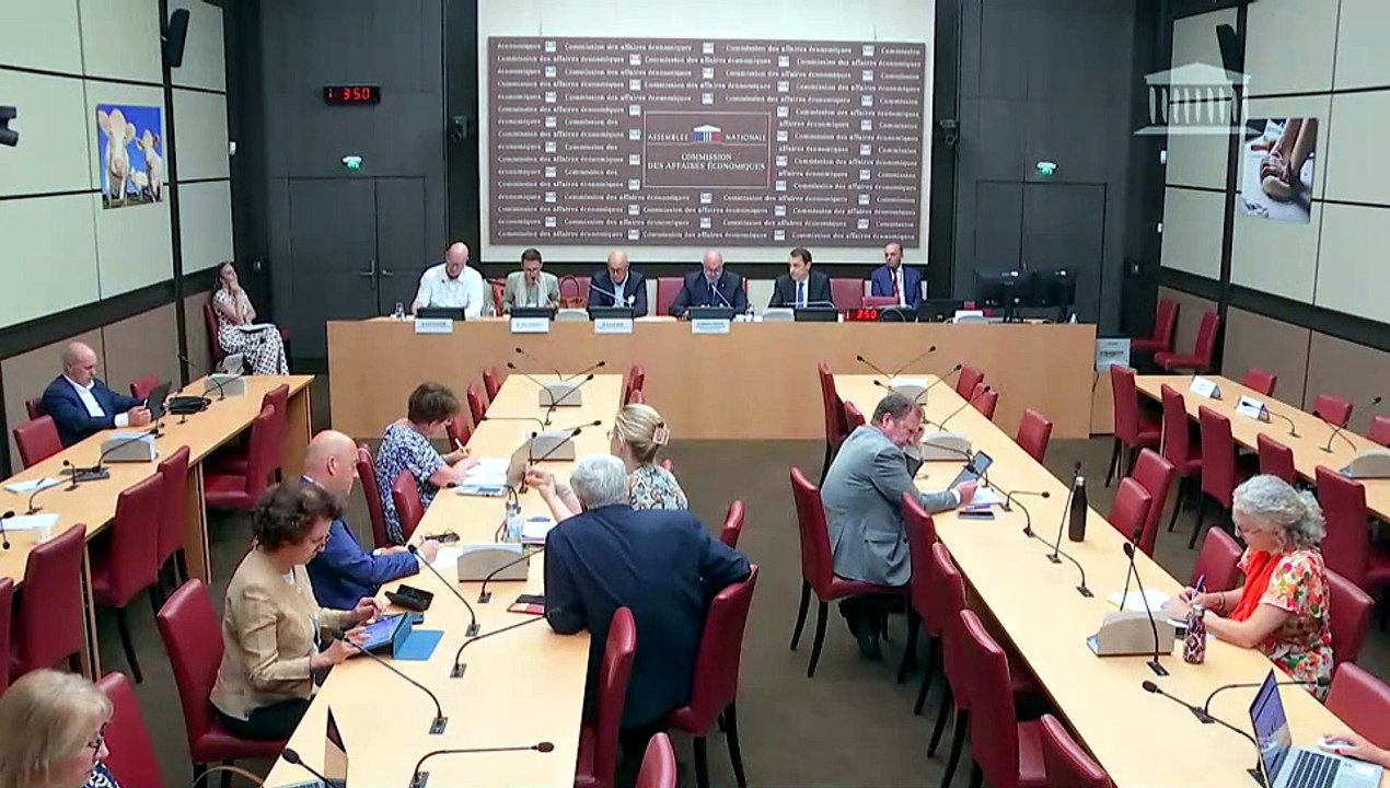 Commission des affaires économiques : Situation économique et perspectives de développement de la filière ameublement - Mercredi 24 juin 2026
