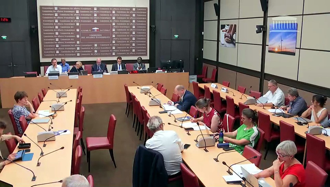 Commission des affaires économiques : Mme Laure de La Raudière, présidente de l’Arcep - Mercredi 24 juin 2026