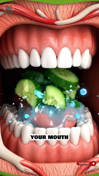 What Happens Inside Your Body When You Eat a Cucum