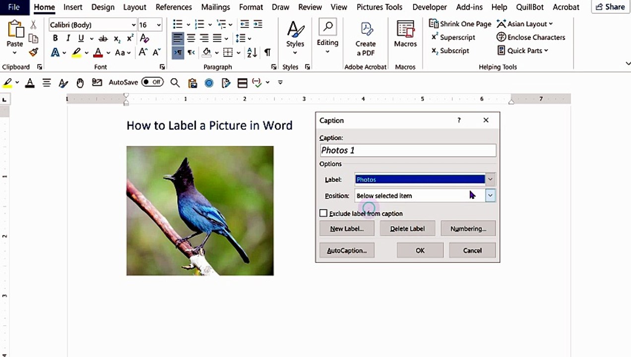 How to Label a Picture in Word
