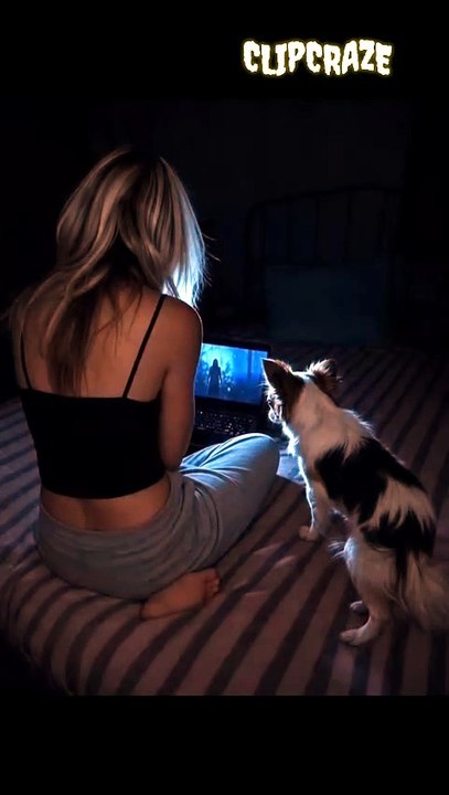 Hilarious Dog Prank: Watching Horror Movies Goes Wrong! 🐶😂