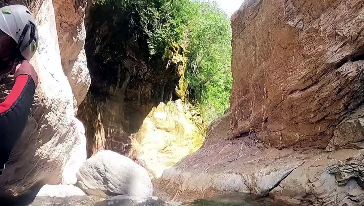 Canyon Gorgol 2024 (Just What I Needed)
