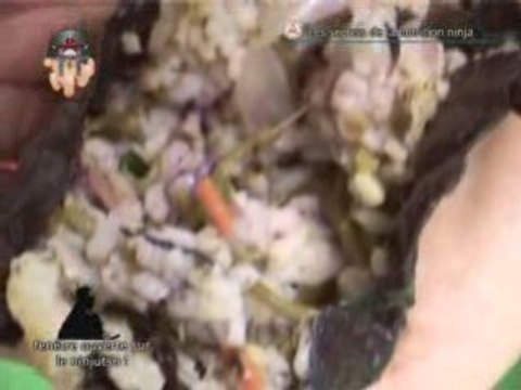 Nutrition ninja bernard bordas santé régime naruto japon