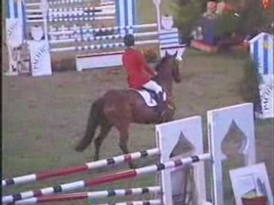 CSI de BLAYE (les douves..Illumination des remparts)