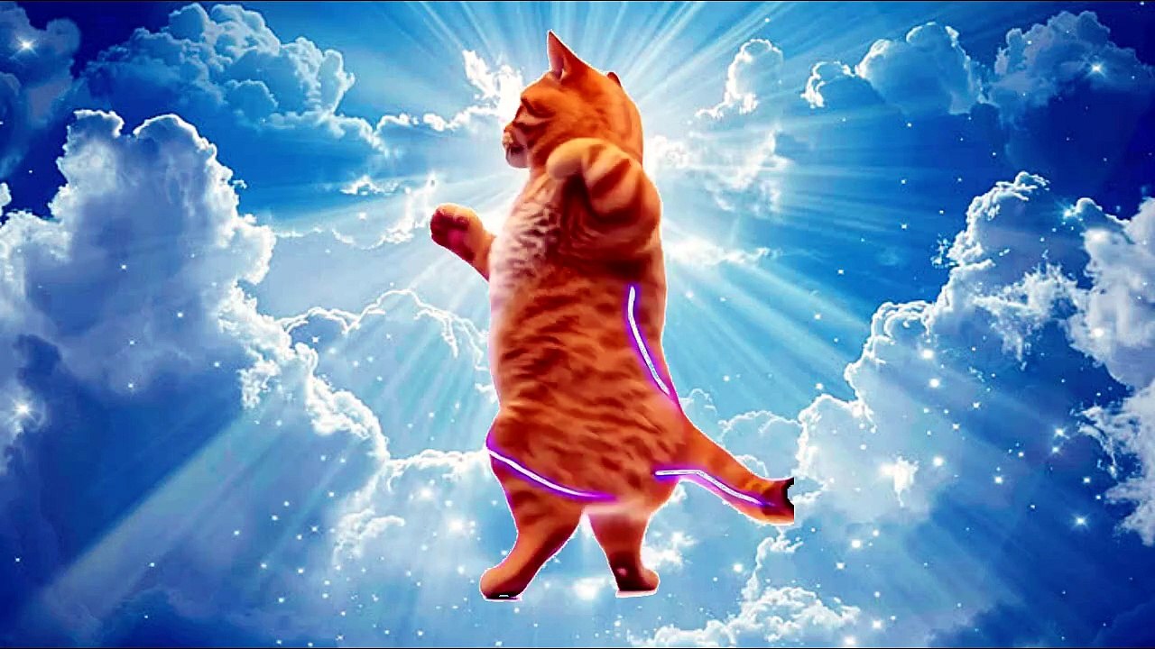 WorkAnynore BIG CAT DJ 007
