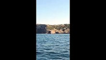 Albiren tres balenes rorqual a la costa del Montgrí, a tocar de les Illes Medes