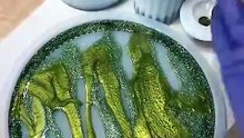 Golden_green_💚_#epoxyresinart_#resinart_#resincrafts_#epoxy_#epoxyresin_#resin_#resinartist_#art(480p)