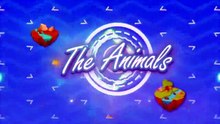 Best Funny Animal Videos Of The 2023  - Funniest Cats And Dogs Videos