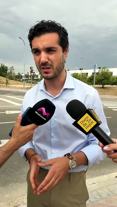 Seis detenidos tras una reyerta a machetazos entre pandilleros en Torrejón