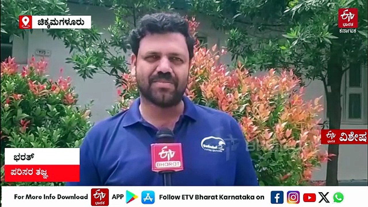 ಜಿಟಿ ಜಿಟಿ ಮಳೆ, ಮೋಡಗಳ ನಡುವೆ ಮಿಂಚುತ್ತಿರುವ ಮುಳ್ಳಯ್ಯನಗಿರಿ: ಪ್ರವಾಸಿಗರ ದಂಡು