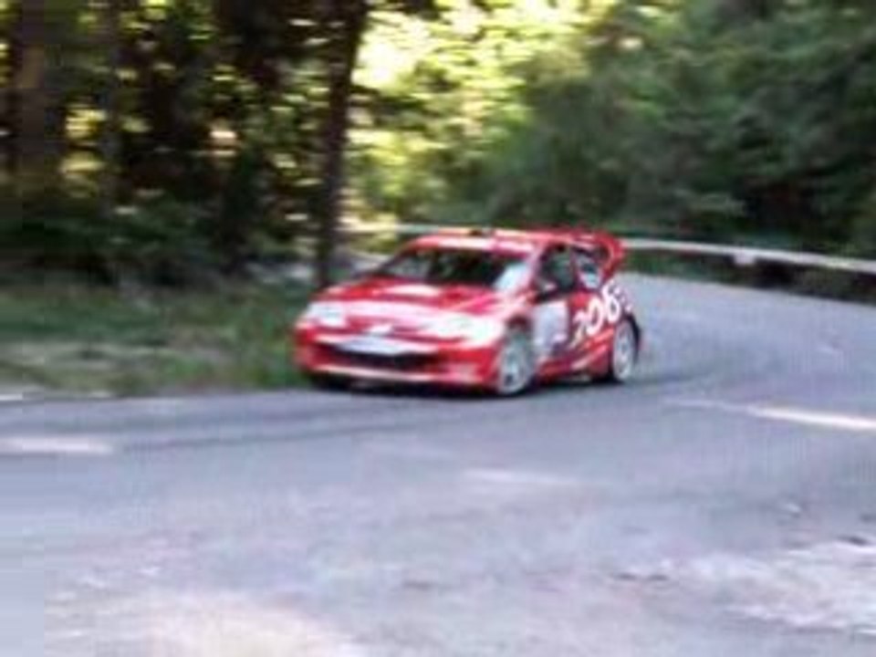 rallye rochois 2008 Guebey 206 WRC
