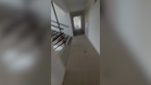 Hearthquake Venezuela Images