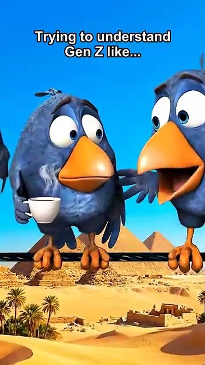 Gen Z Bird vs. Boomer Bird 💀🐦 #talkingbirds