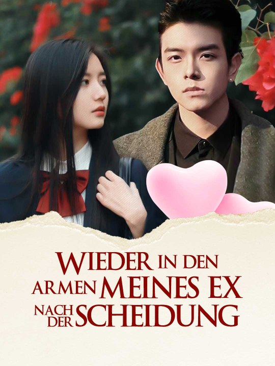 Wieder in den Armen meines Ex nach der Scheidung Das Minidrama | Delust Language