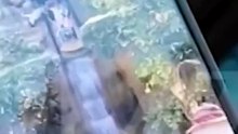 Conmoción en Disney: video del momento en el que un menor tuvo un tremendo accidente en una atracción. Miralo.
