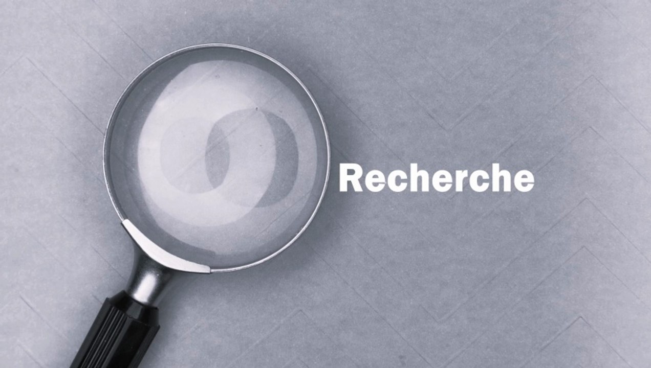 Panorama du Système Français de Recherche - part 3 - Recherche