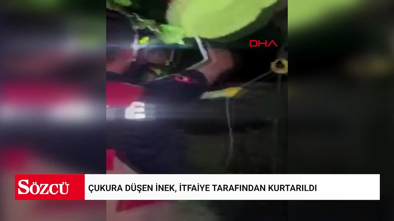 Çukura düşen inek, itfaiye tarafından kurtarıldı