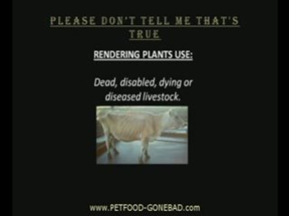 Dog Food Ingredients-The good,bad,and dont tell me thats tru