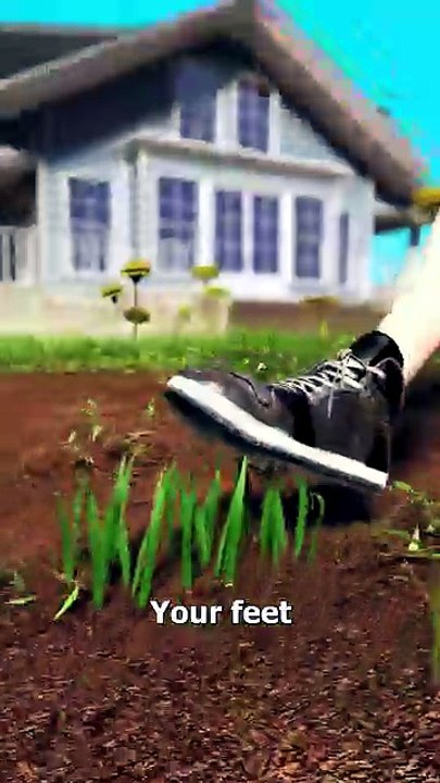 Turning Your Yard Into A War Trench