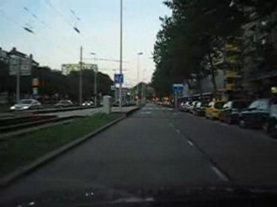 Menzel kamel Rotterdam