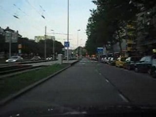 Menzel kamel Rotterdam