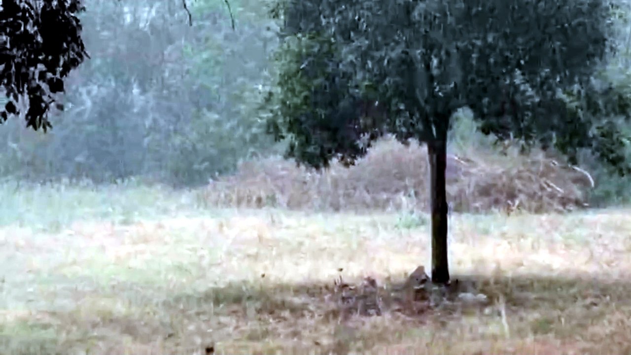 Sole e caldo torrido, poi il diluvio e la grandine: il temporale estivo si abbatte nel sud Sardegna - VIDEO