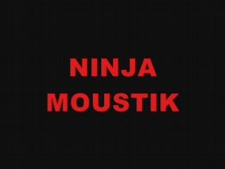 NINJA MOUSTIK