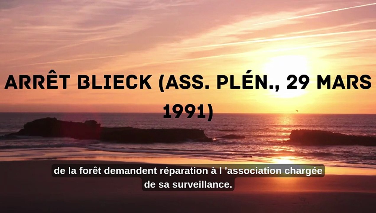 Arrêt Blieck (Ass. plén., 29 mars 1991)