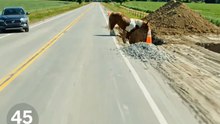 Accident