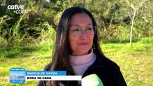 Frio intenso segue em Cascavel e exige cuidados com pessoas e pets