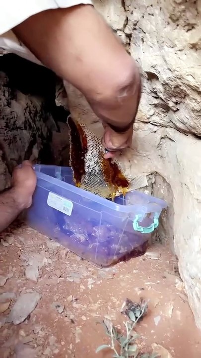 Honey extracted in RAK