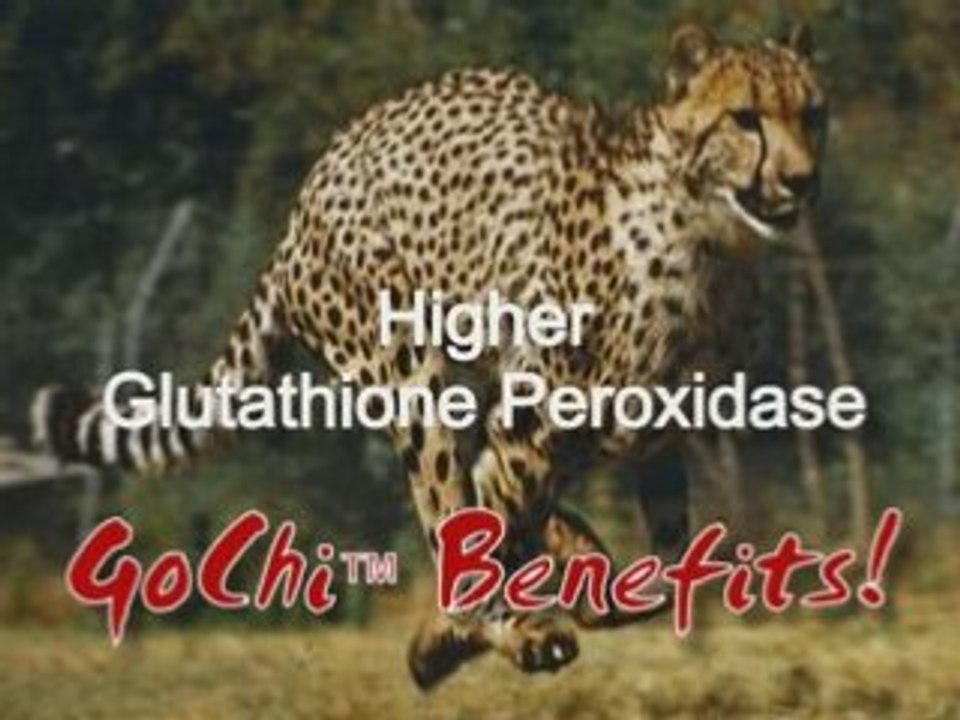 Health Nutrition Drinks 1: Goji Juice Benefits