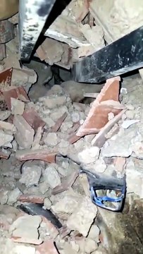 Venezuela: el rescate de un perro que estaba cubierto por escombros