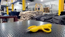 O jeans veste o Brasil: como o Paraná costura competitividade
