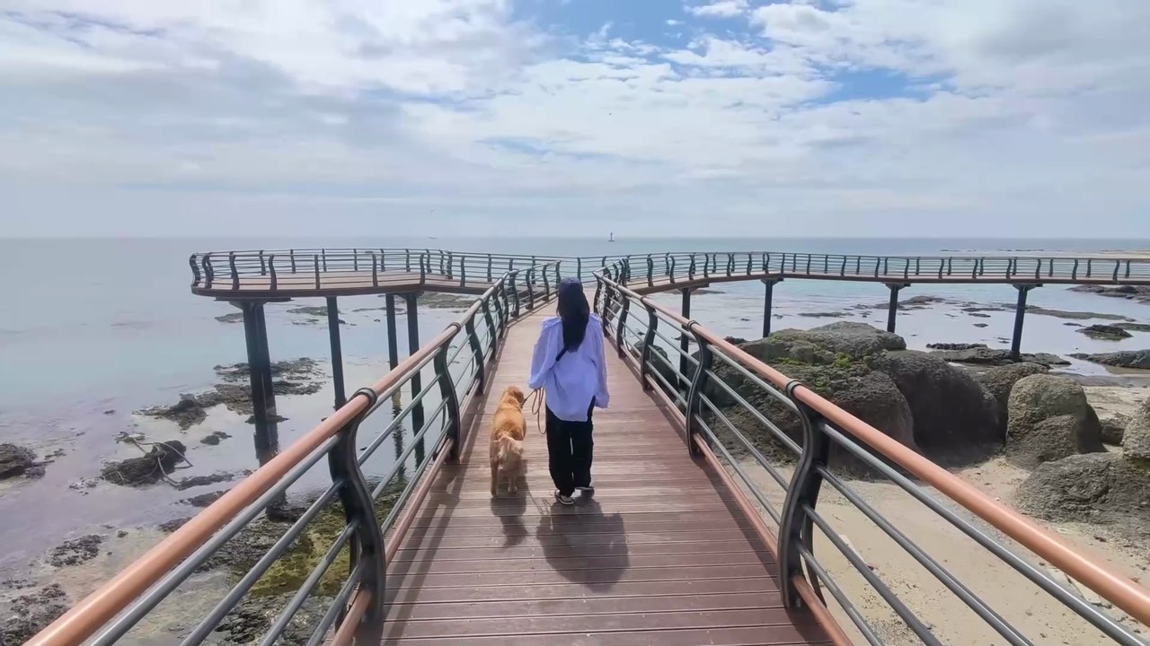 Camping Vlog with My Dog in Front of the Windy, Rainy Sea.