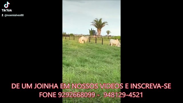 FAZENDA COM 380 ALQUEIRÃO A VENDA CMC