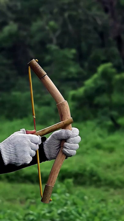 Visez votre cible avec une grande précision.