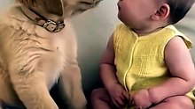 The tension in this conversation… I can’t 😭😂 - babies&barks