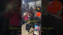 Cachorro de resgate ajuda a salvar homem preso sob escombros após terremotos na Venezuela #shorts