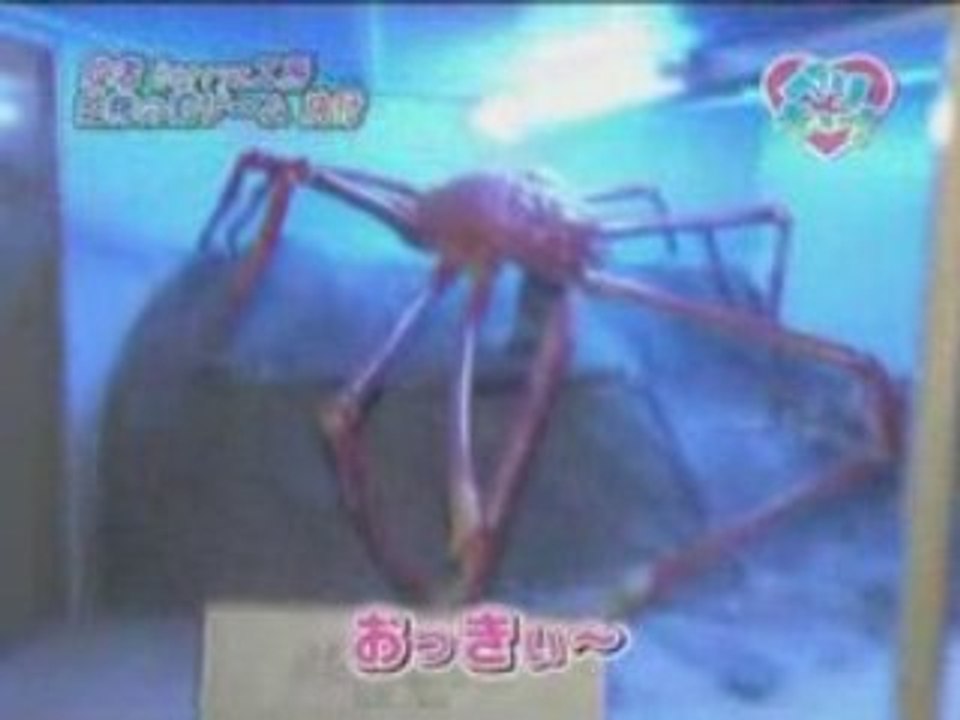 Berikyuuベリキュー！63(080625)