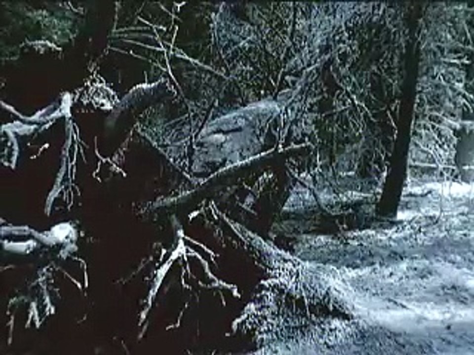 Ginger Snaps III : The Beginning