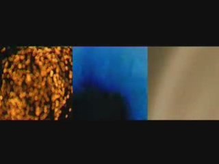 Lumière et Couleur: Transfigurations Visuelles 🎥